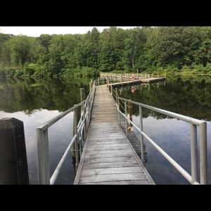 Meet your Posher, Janet